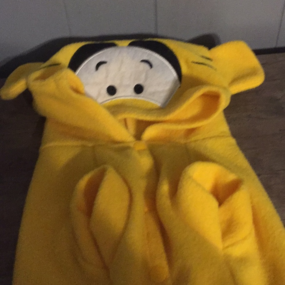 Tigger dog costume